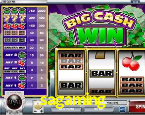 Descubra o Mundo do Cassino Online com sagaming
